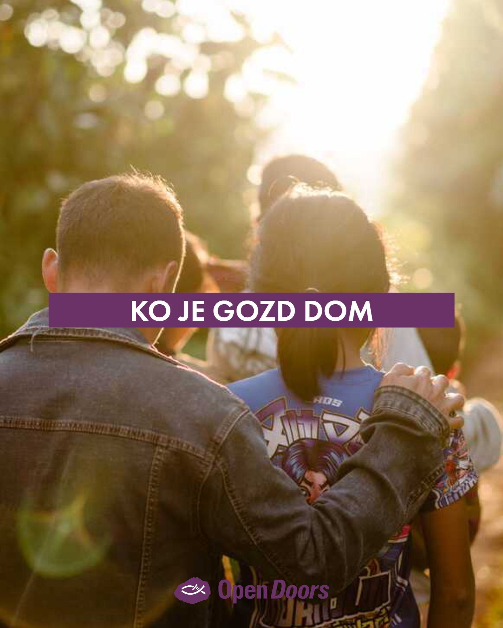 Gozd postane dom